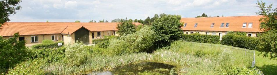 Havrevænget - Rugvænget